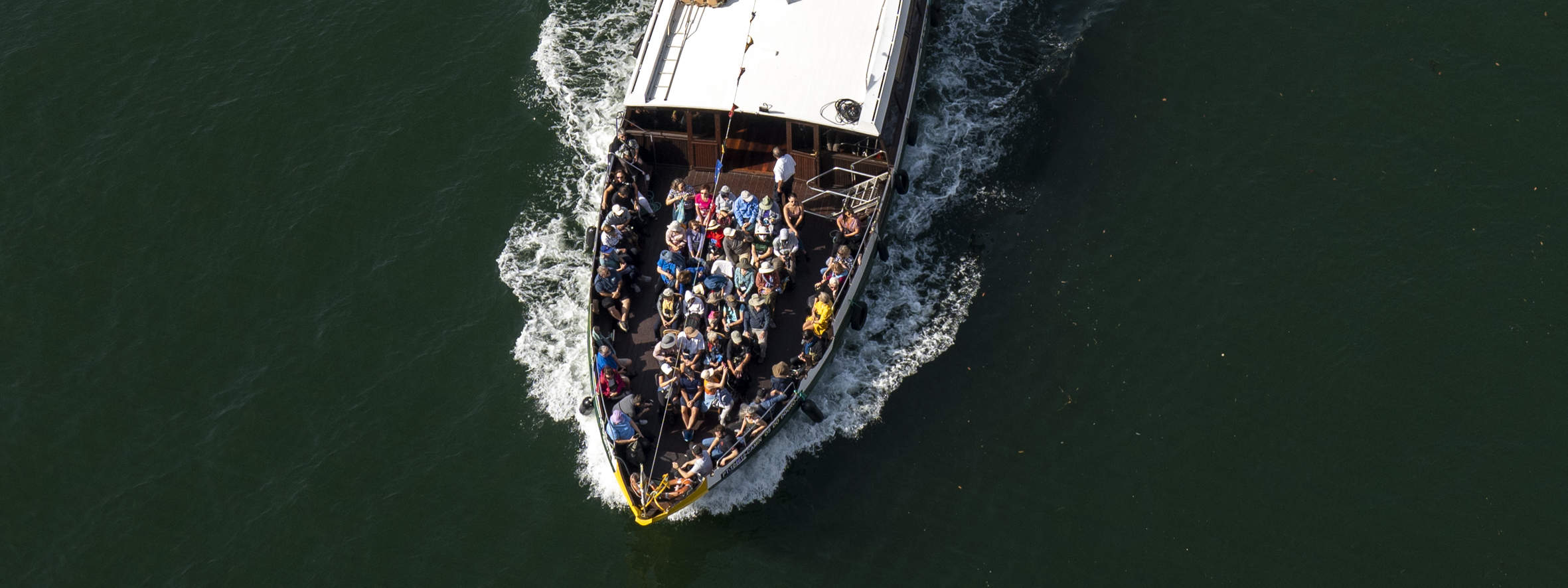 Recorrido a pie por Oporto, Librería Lello, crucero por el río y teleférico