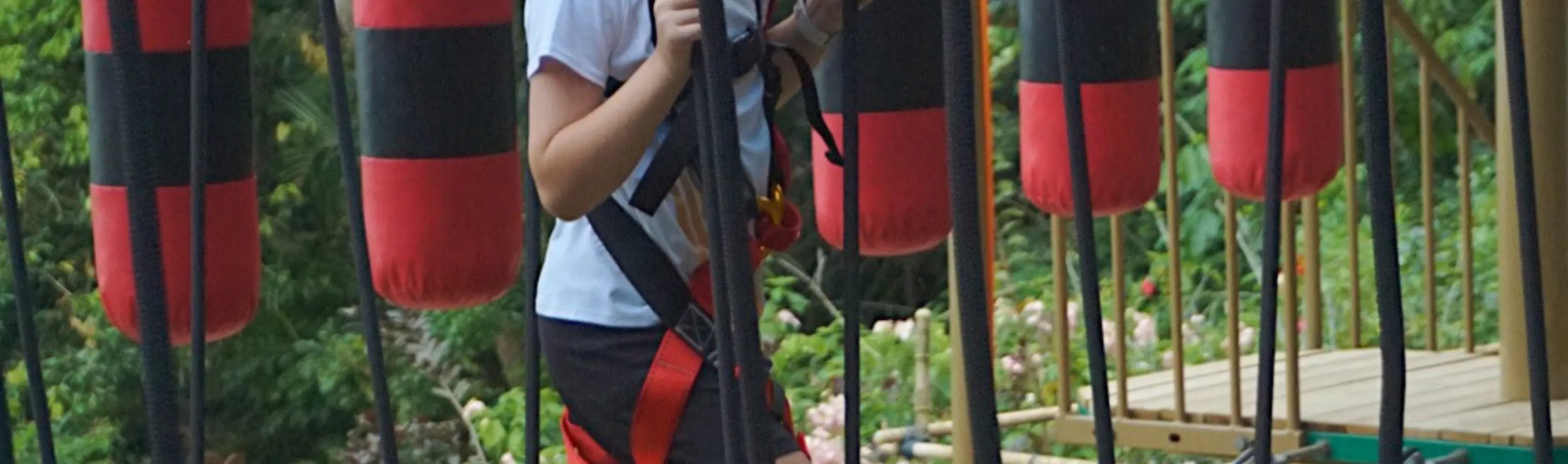 Houbii Spot Rope Course At Zoo