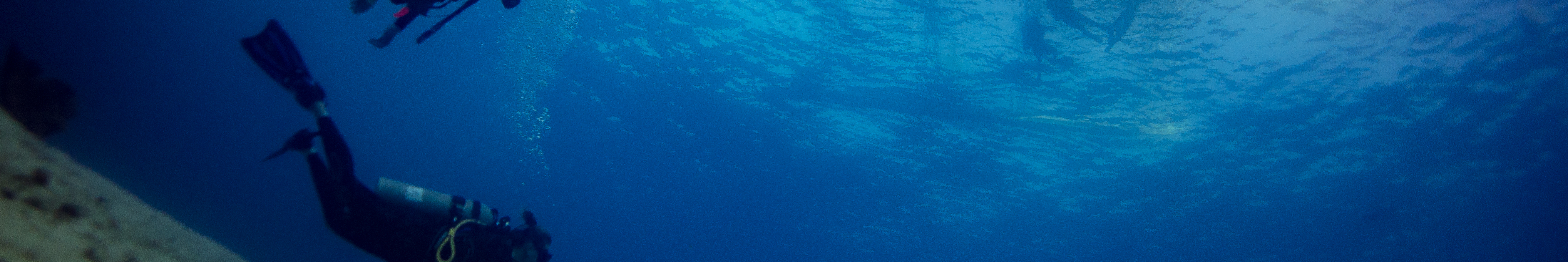 PADI Discover Scuba Diving