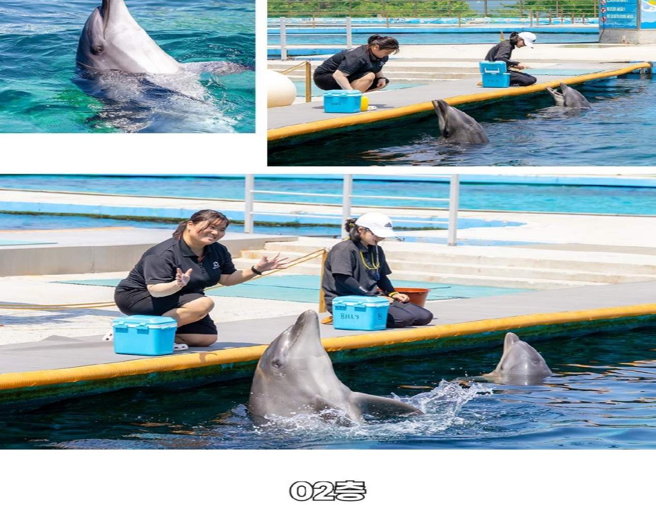 경남 거제 씨월드 입장권