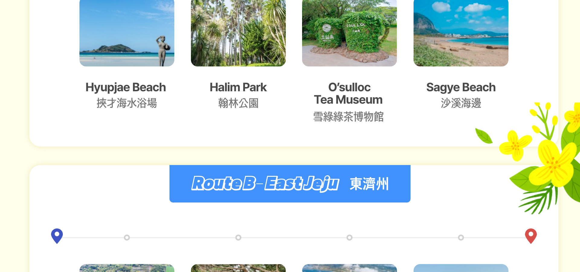 済州島 貸切チャーター