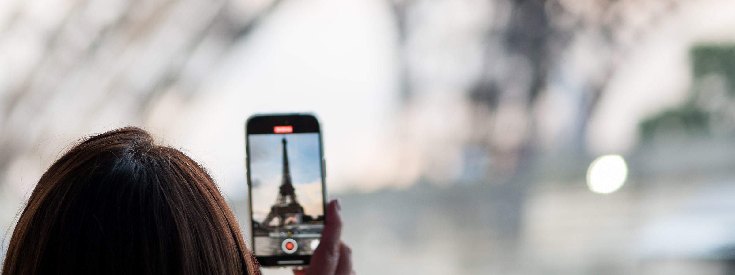 Gourmet Dinner Cruise on Seine River with Live Music in Paris