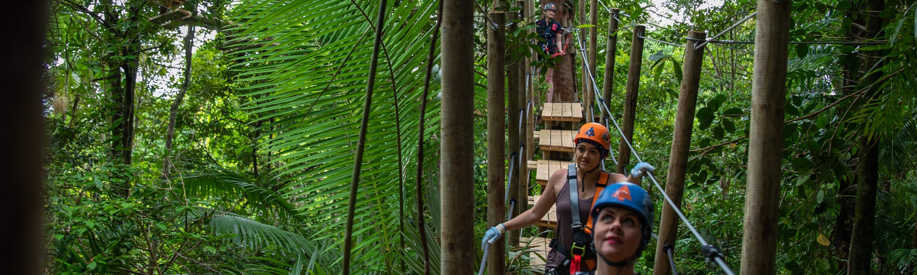 Đi bộ trong rừng