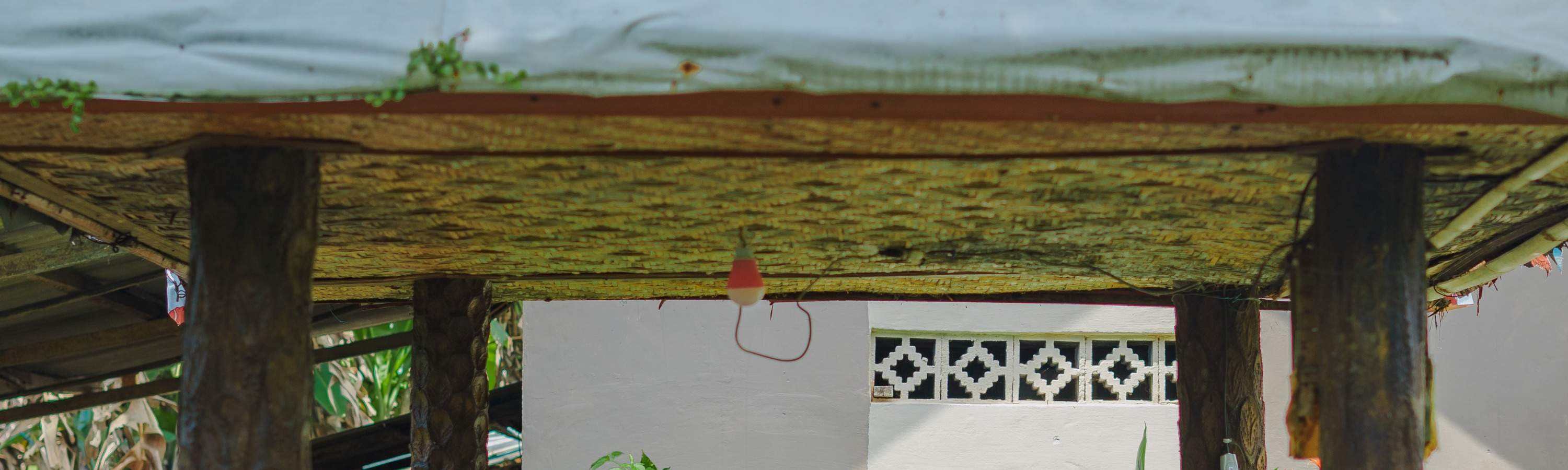 Balinese Healing Journey, Cooking Class, Cycling, or Balinese Living Experience at Bali Rural Commune