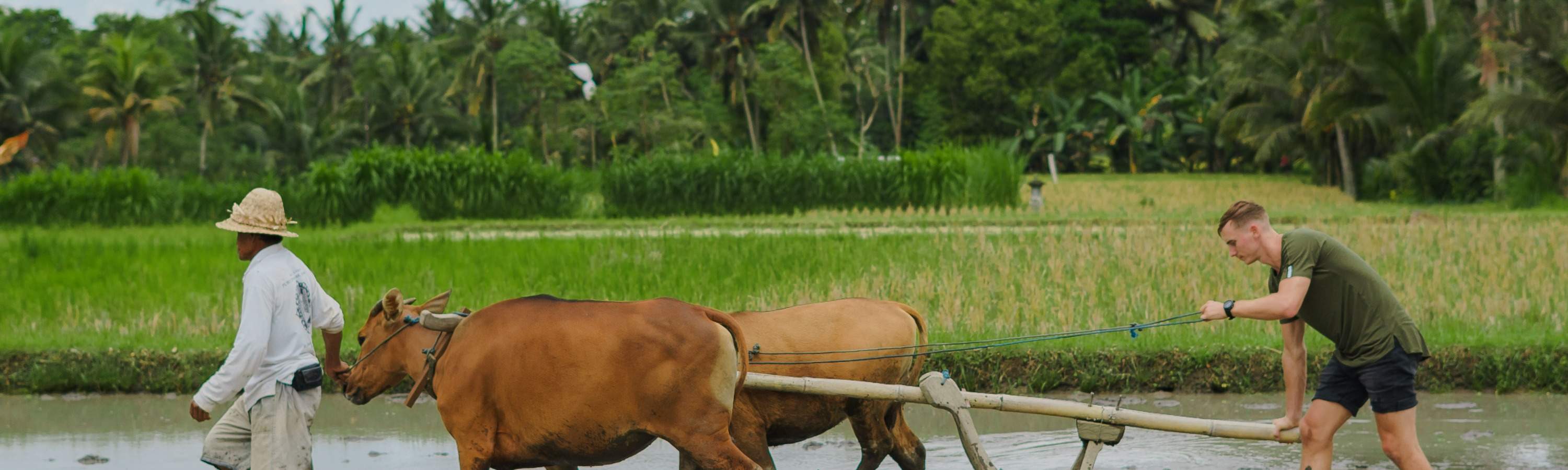 Viaje de curación balinesa, clase de cocina, ciclismo o experiencia de vida balinesa en Bali Rural Commune