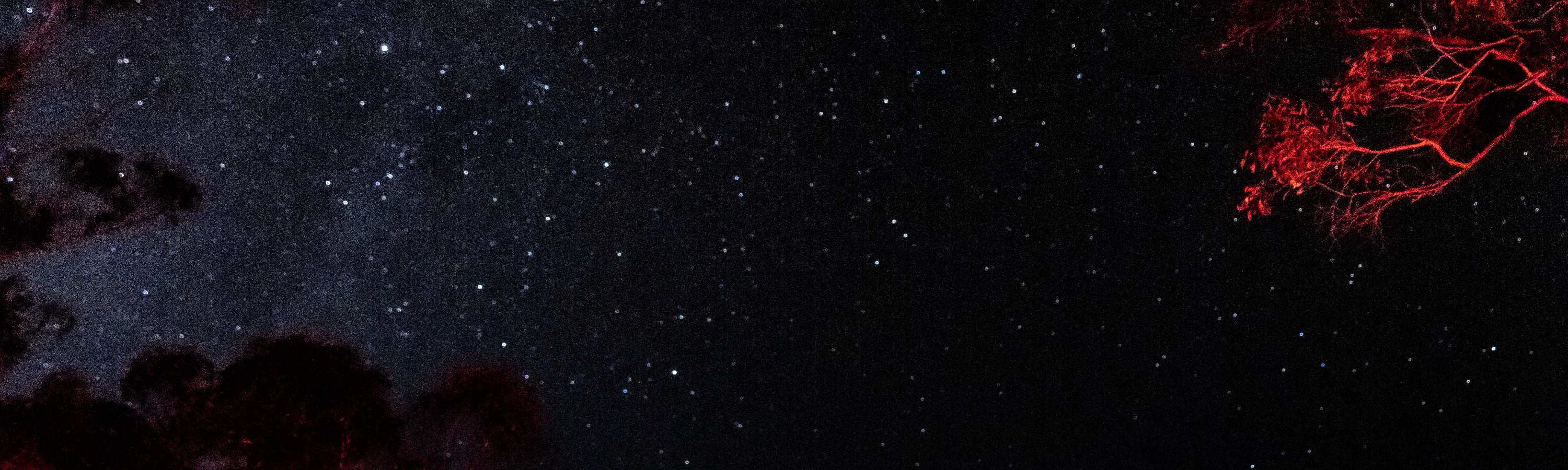 Observation des étoiles dans les Montagnes Bleues