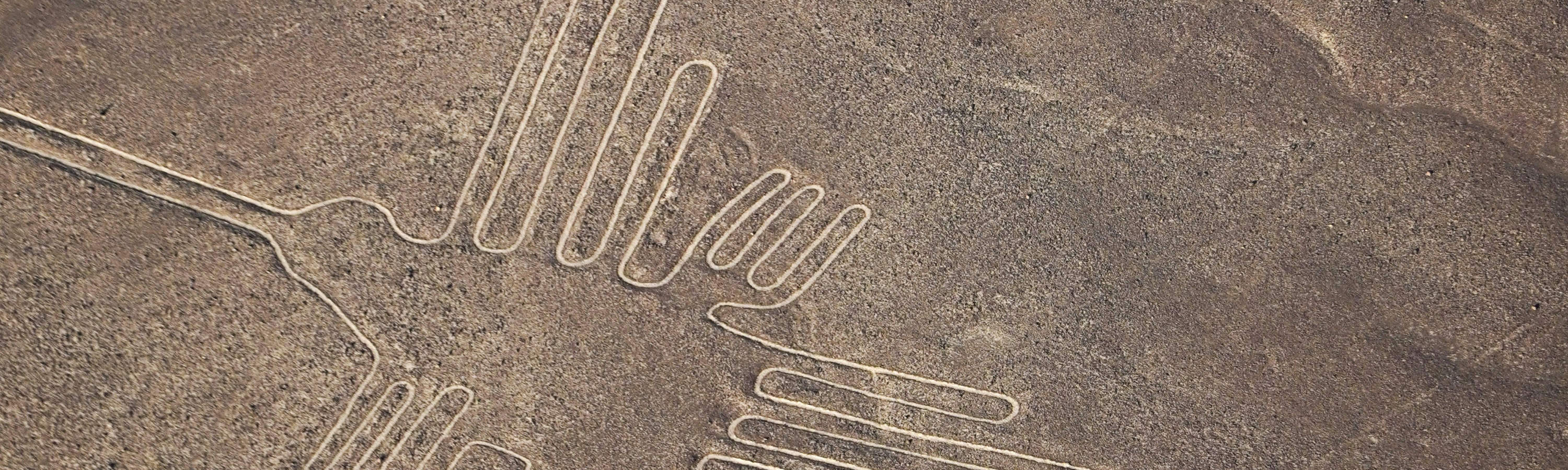 Naz01 - Đường Nazca - Hành trình khám phá bí ẩn từ trên không