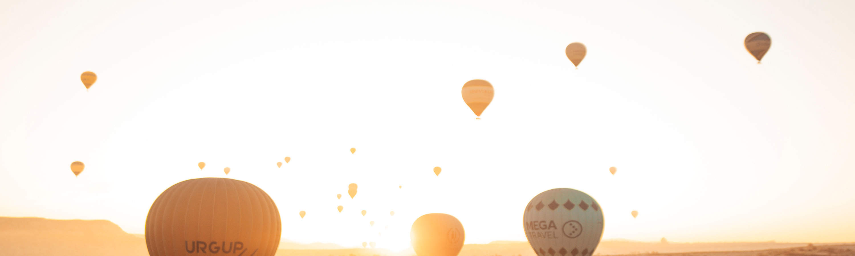 緞面優雅地擺動，每一張照片都找到完美的平衡點