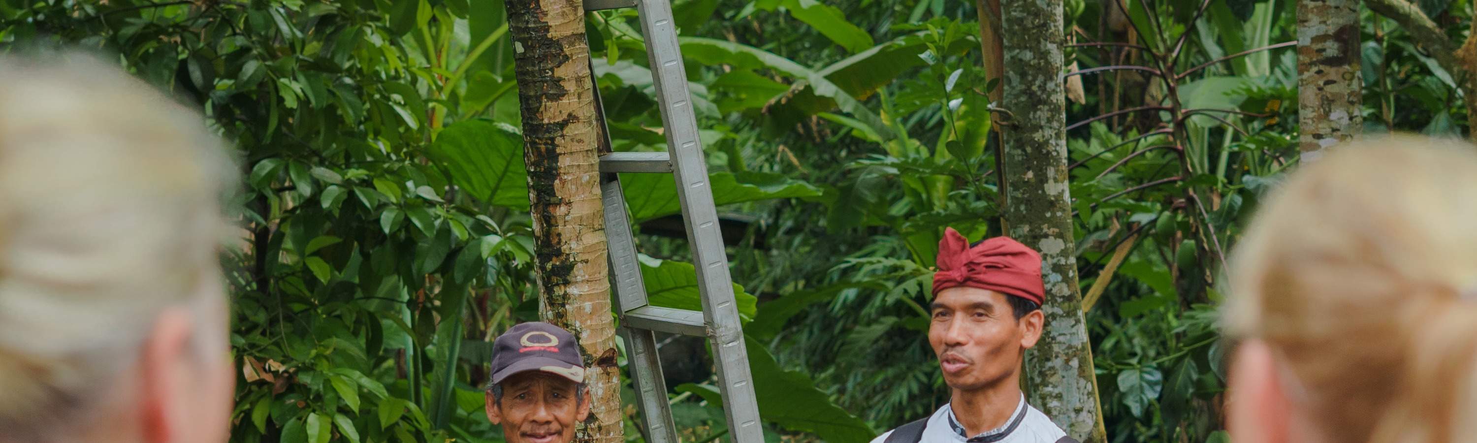 Viaggio di guarigione balinese, corso di cucina, ciclismo o esperienza di vita balinese al Bali Rural Commune