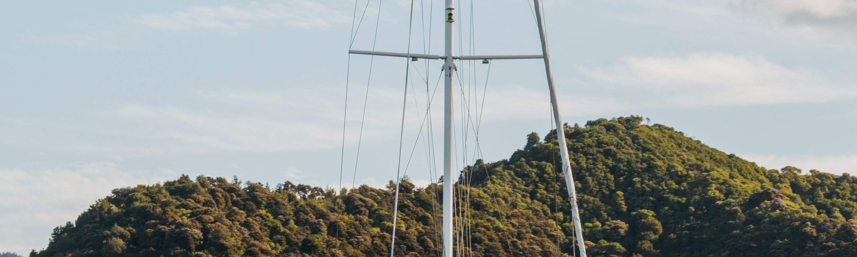 Crucero de Mejillones Verdes de Marlborough