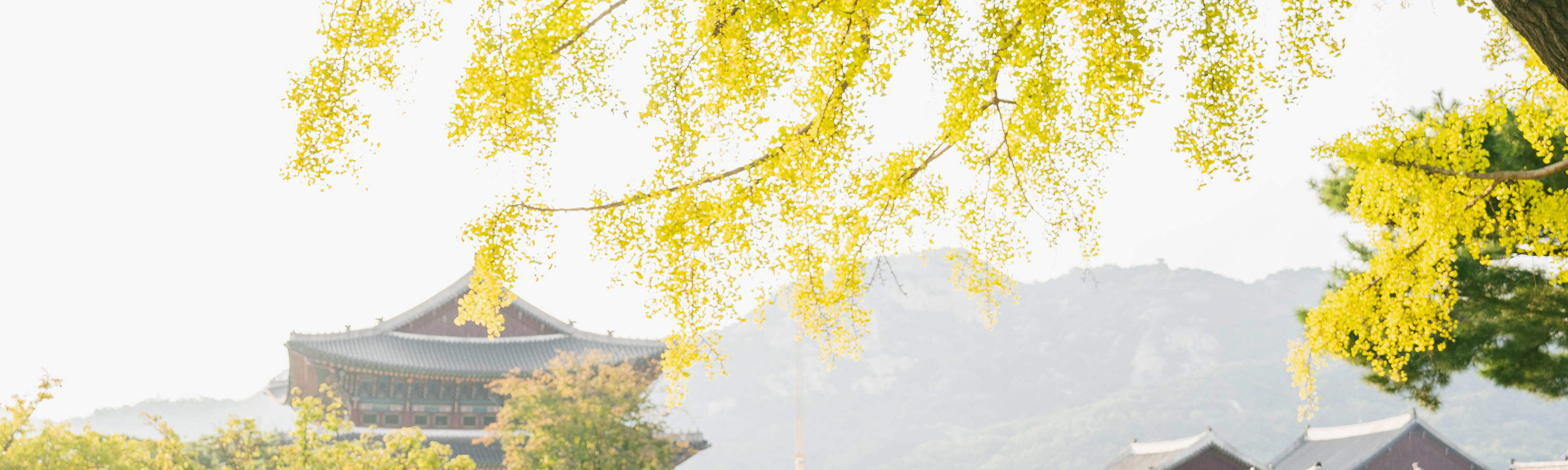 Pengalaman Membuat Video & Penggambaran Foto di Seoul