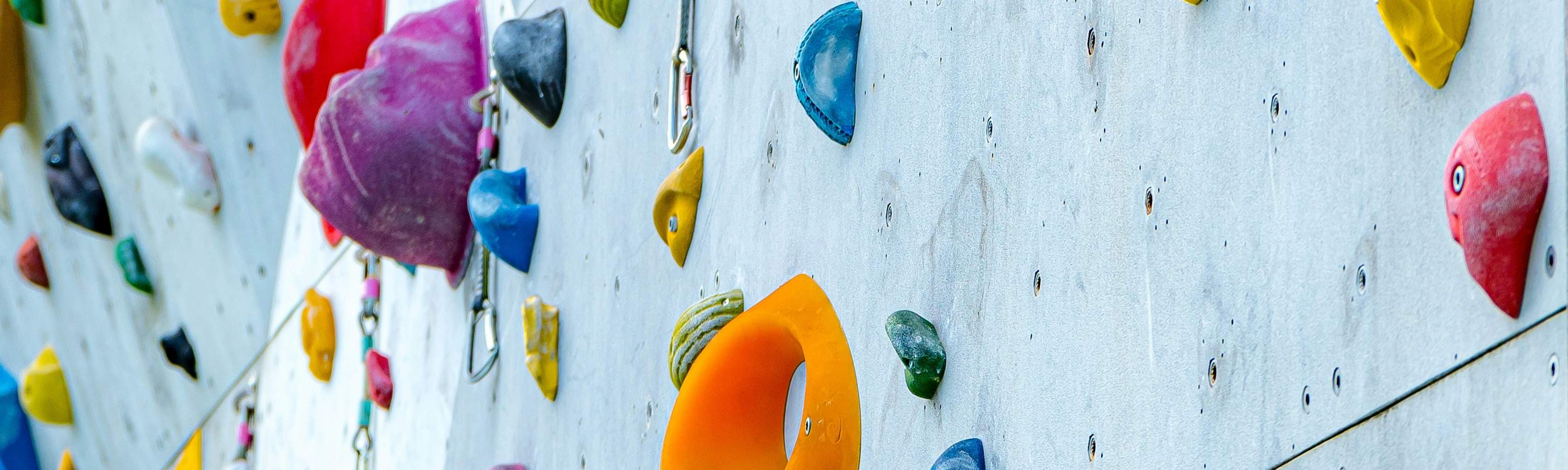 Avventura di mezza giornata di arrampicata e tiro con l'arco