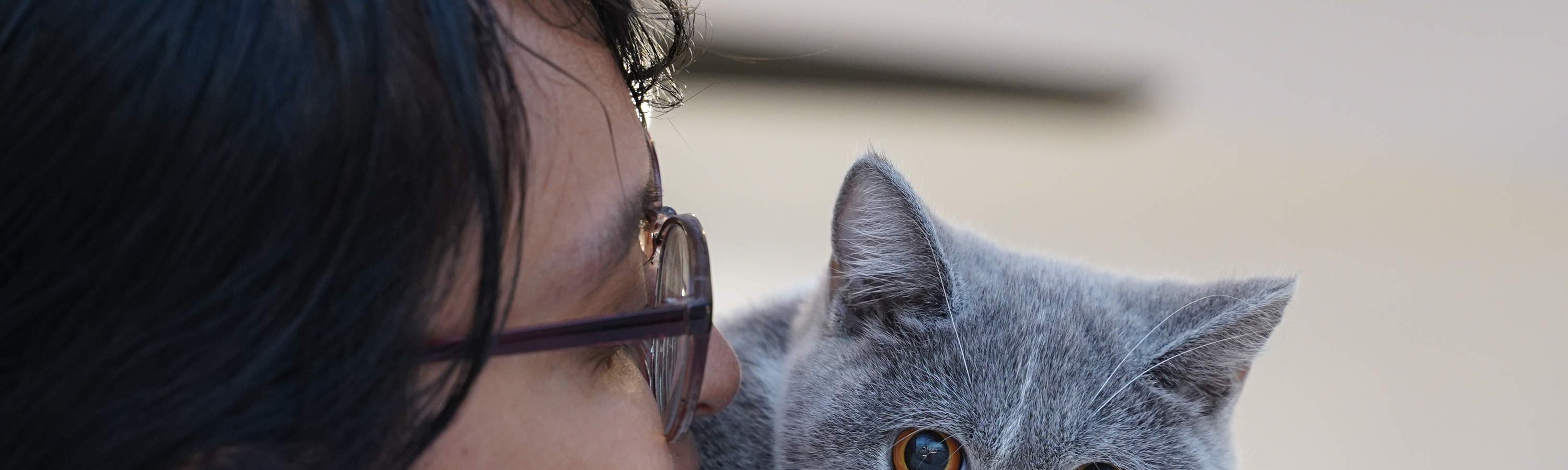 cat cafe pet nirvana bali