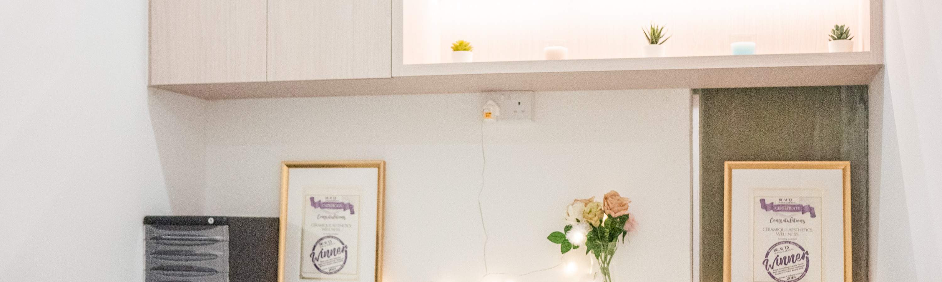 Private Consultation Room (Orchard Central Branch)