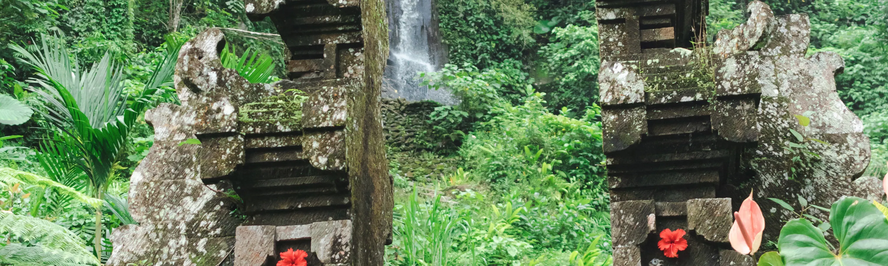 峇里岛私人拍摄体验