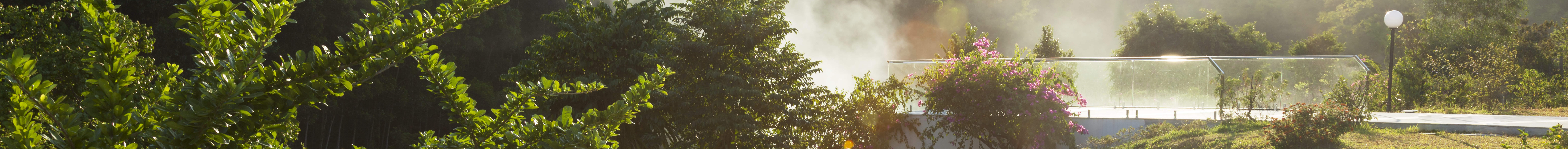 โอ๊ควิโฮ แฟรี่ วัลเลย์