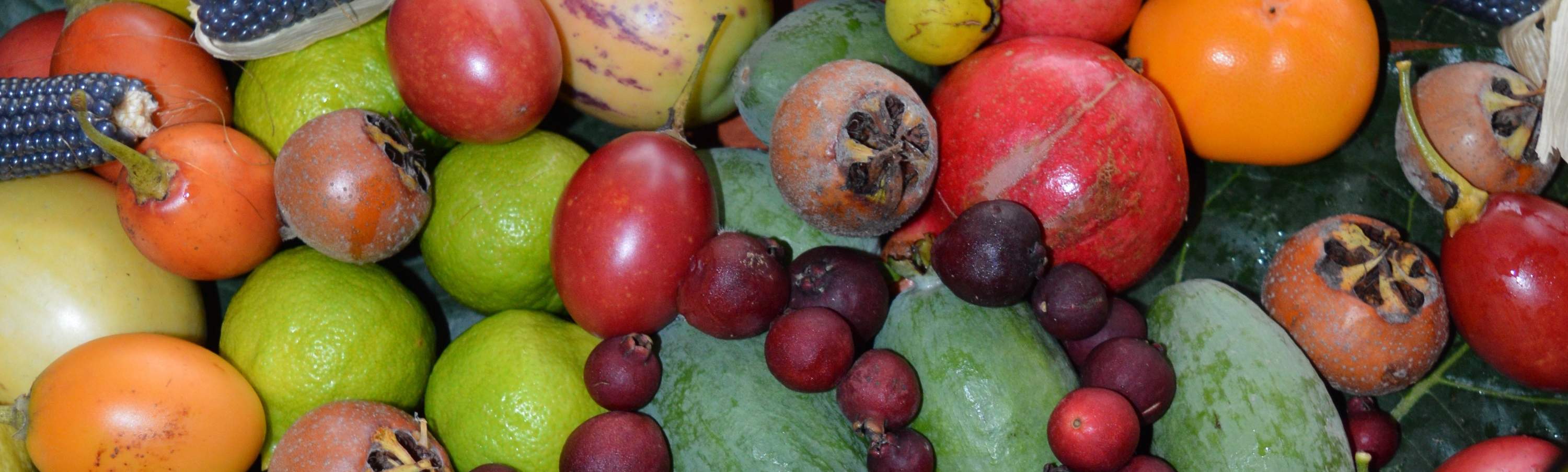 品嚐產地直送的當季水果風味