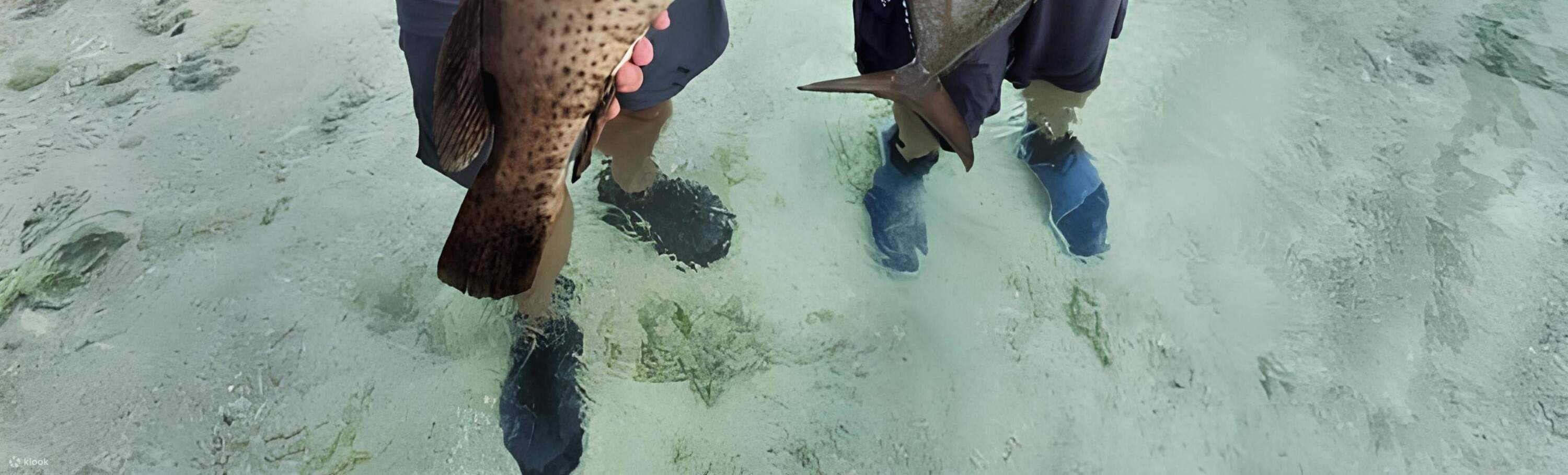 Trip Memancing dari Gili Islands