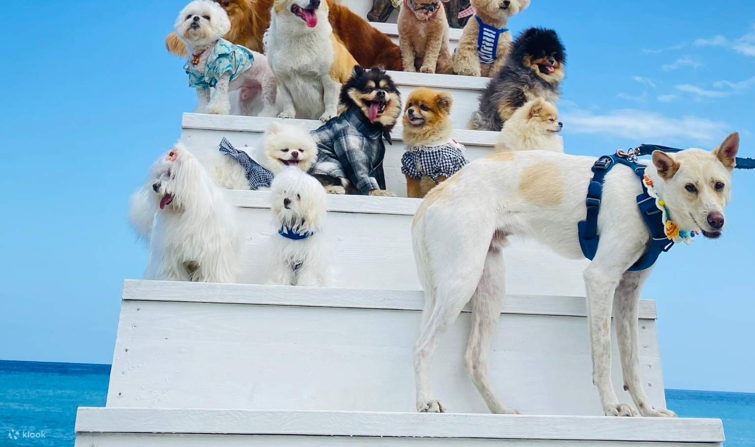 花莲｜漫波星辰｜沙滩车体验