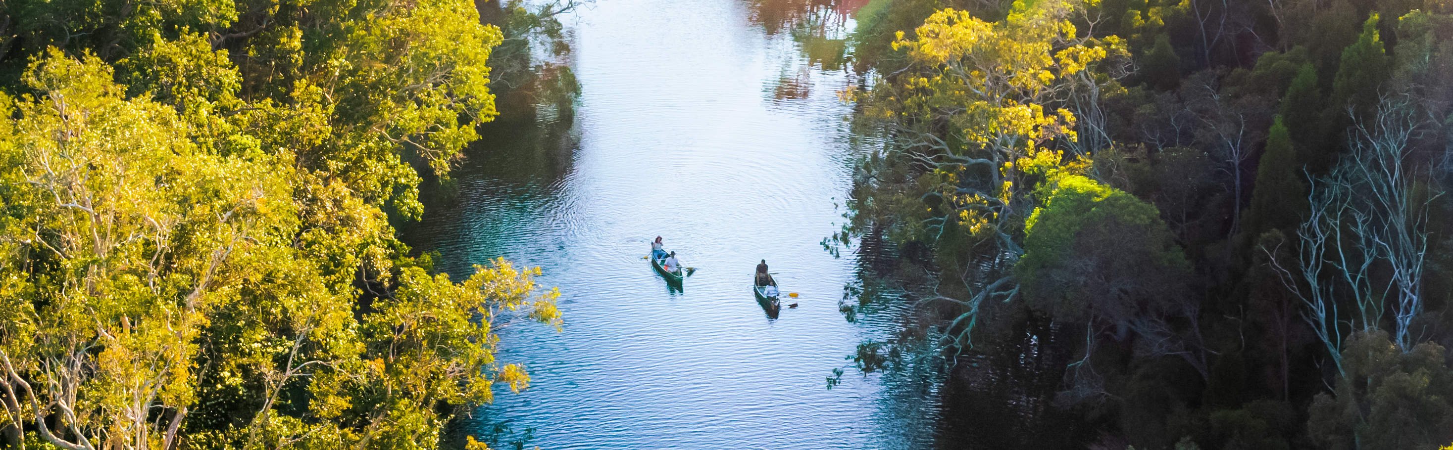 ทัวร์แอ่งน้ำนูซาเอเวอร์เกลดส์