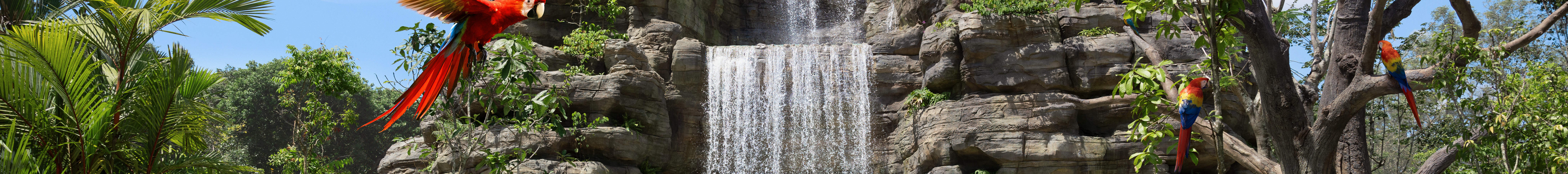 버드 파라다이스