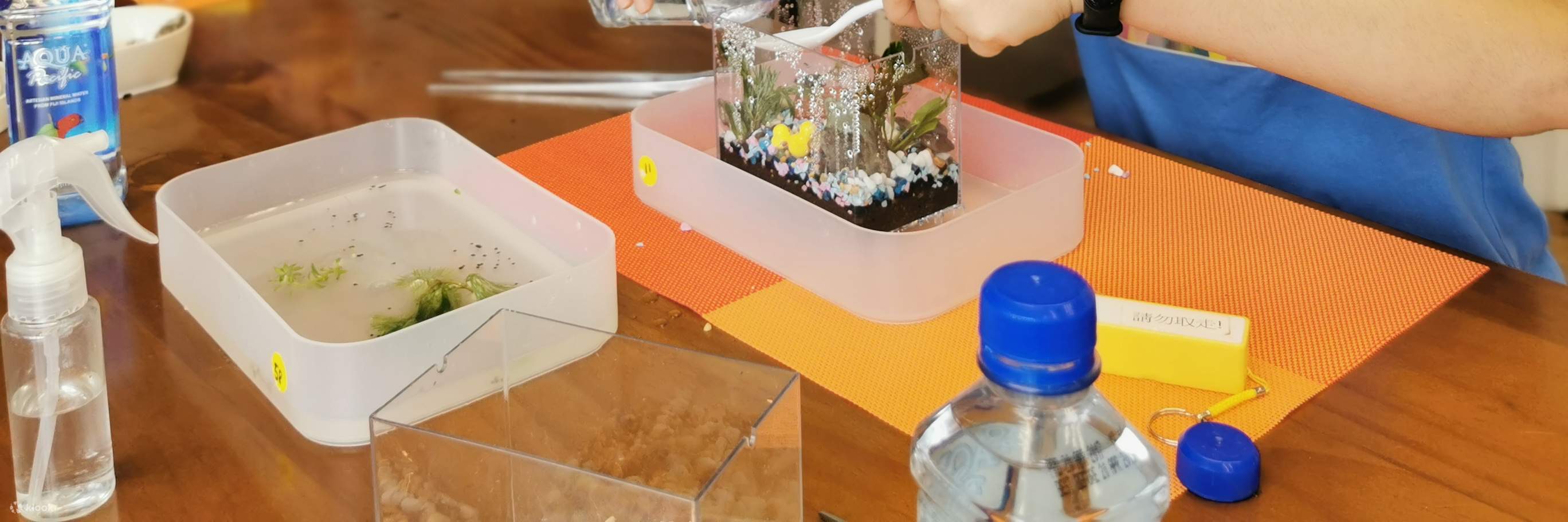 Concept X Plus - 미니 빌딩 블록 에코 아쿠아리움