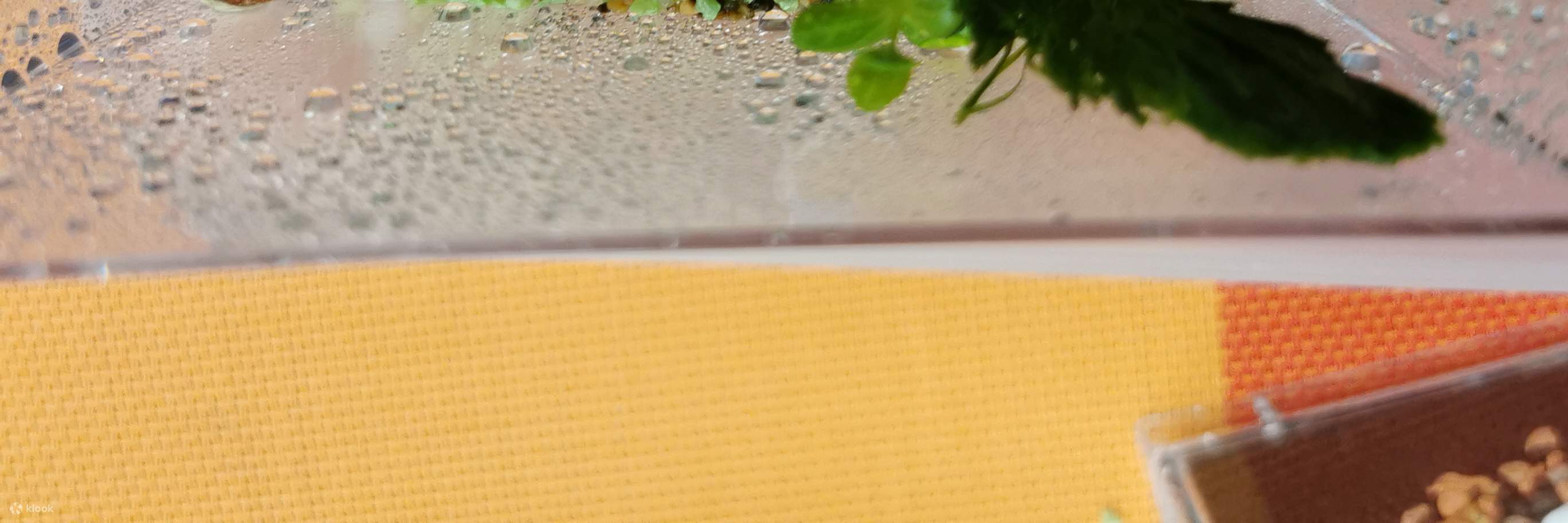 Concept X Plus - 미니 빌딩 블록 에코 아쿠아리움