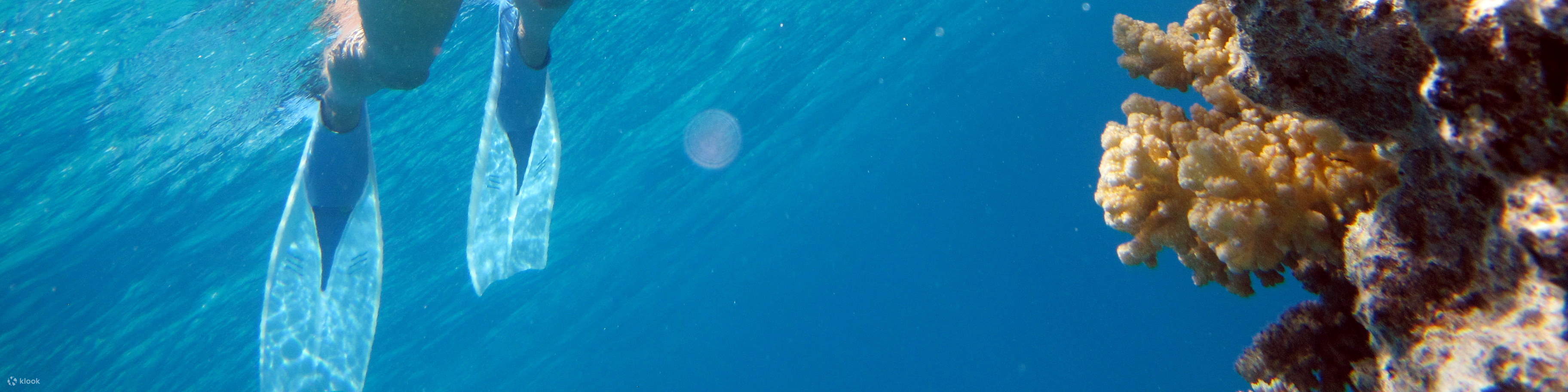 Escursione di snorkeling a Ras Mohamed