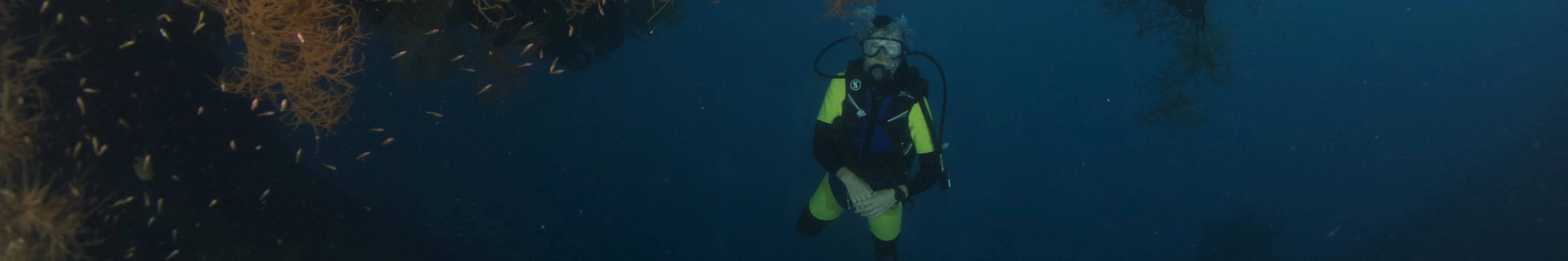在 USAT Liberty Wreck Tulamben 进行 2 次潜水