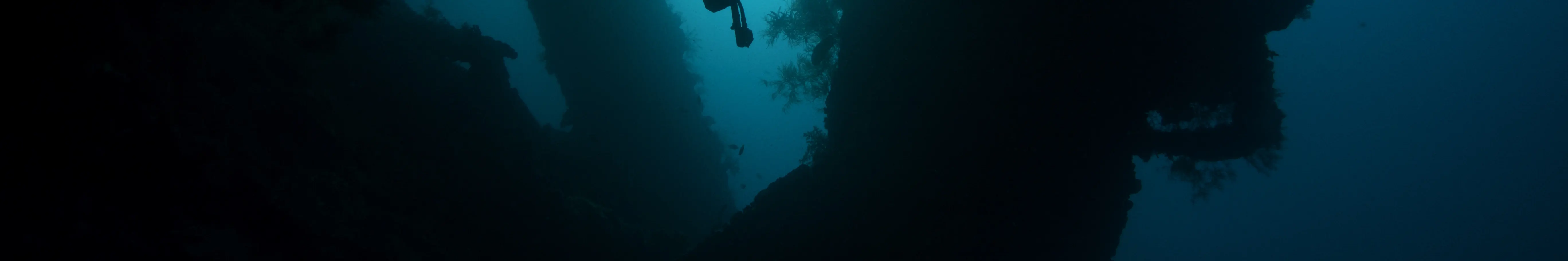 在 USAT Liberty Wreck Tulamben 进行 2 次潜水