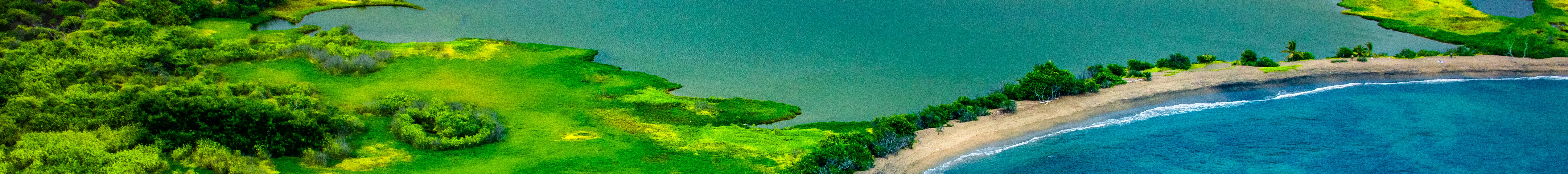科纳海岸风景区 - 30 分钟直升机之旅 - 门关闭或打开