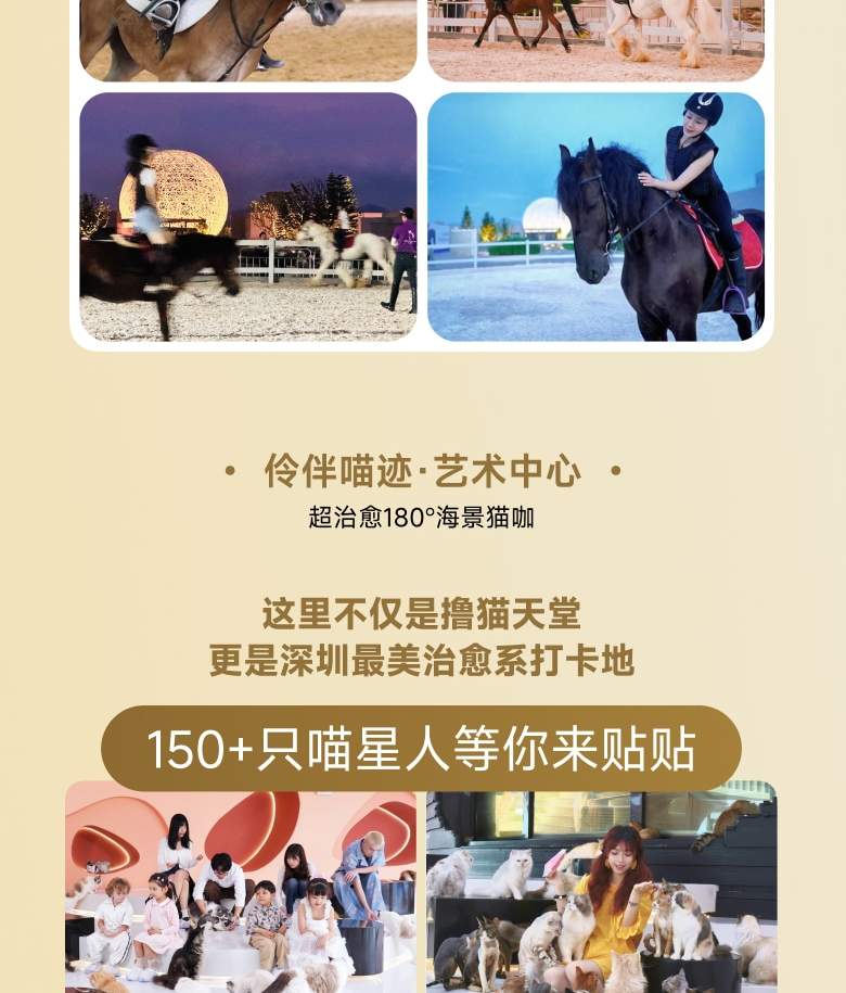 深圳K11 ECOAST 宠物治愈套