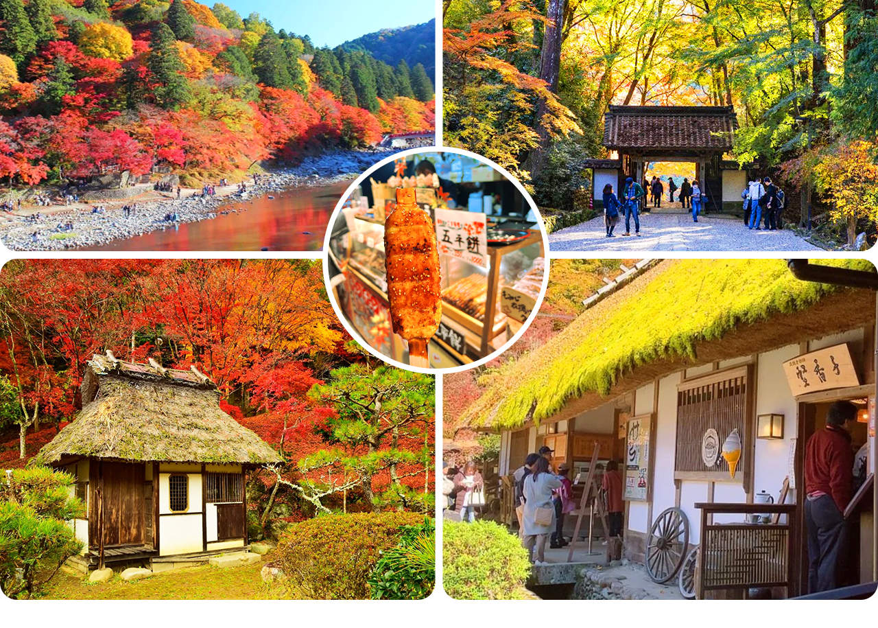 Tiger Creek Mountain Eihoji Temple & Obara Shikizakura & Korankei Autumn  Leaves Day Trip - Klook Singapore
