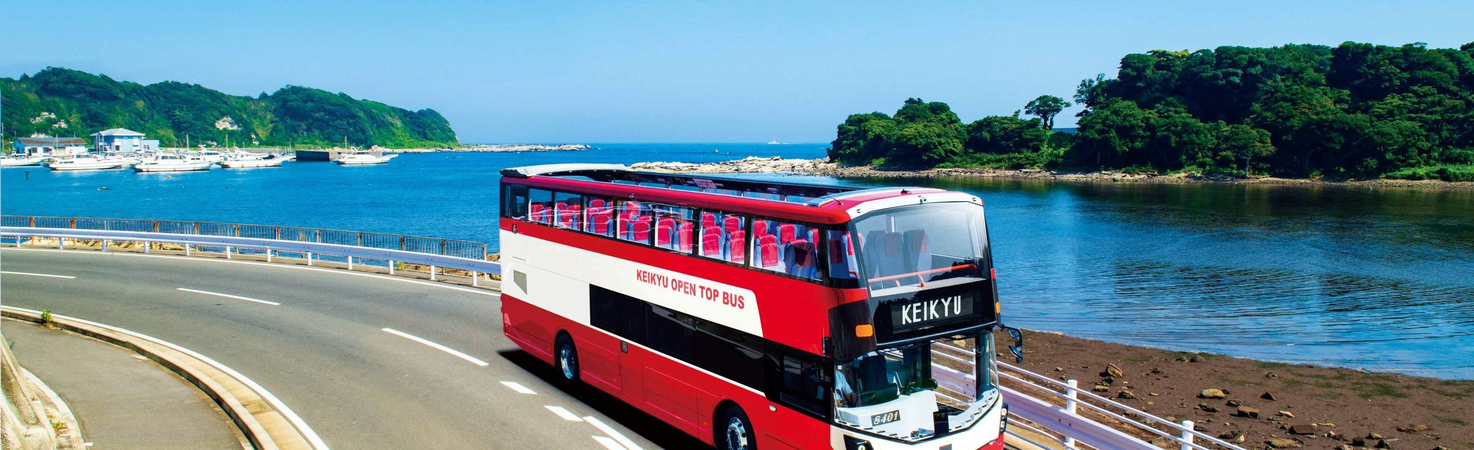 Однодневный билет Misaki Maguro