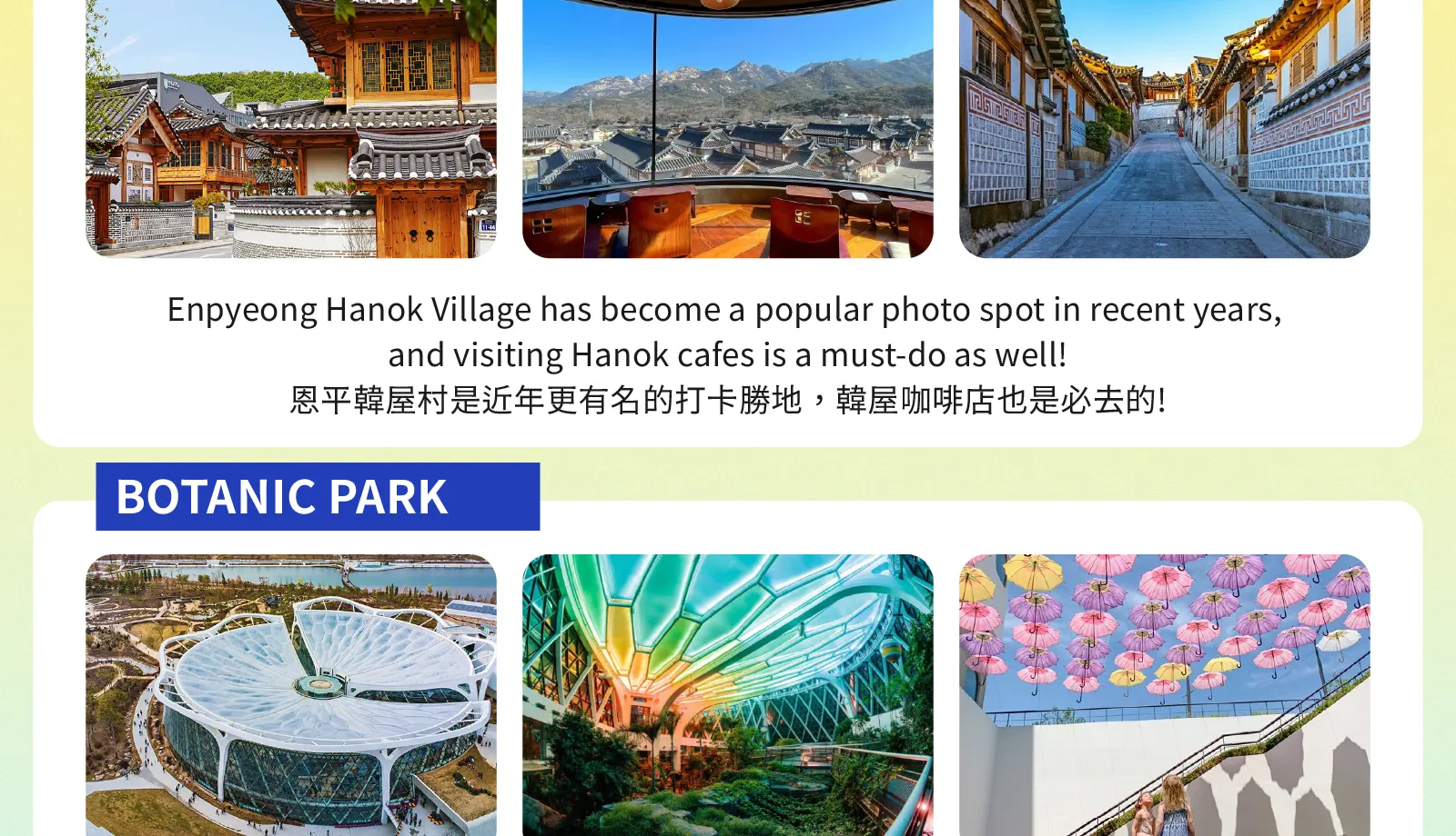 私人定製韓劇之旅：首爾包車及司機服務（南怡島 / 羊駝樂園 / 束草 / 江陵）