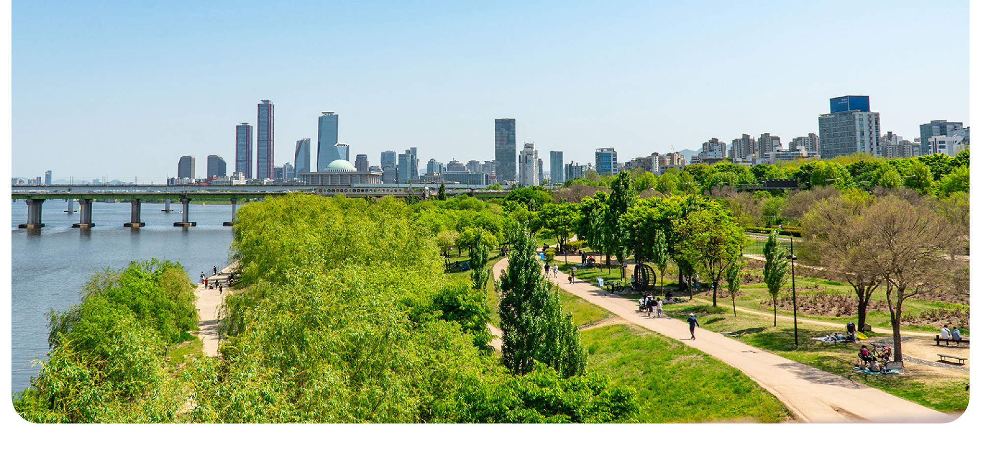 Spring Han 2025 Spring Walk Seoul 12K | Han River Walking Challenge - Klook