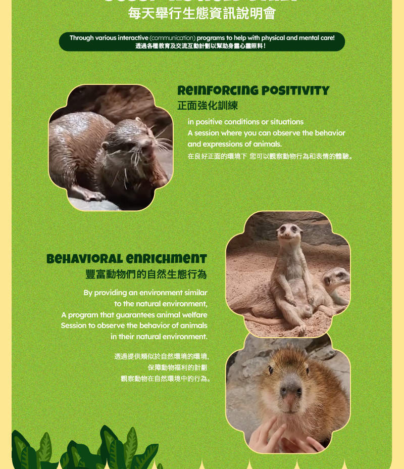 Tiket SeenB Indoor Animal with Aqua Garden (Berang-berang, dll.)