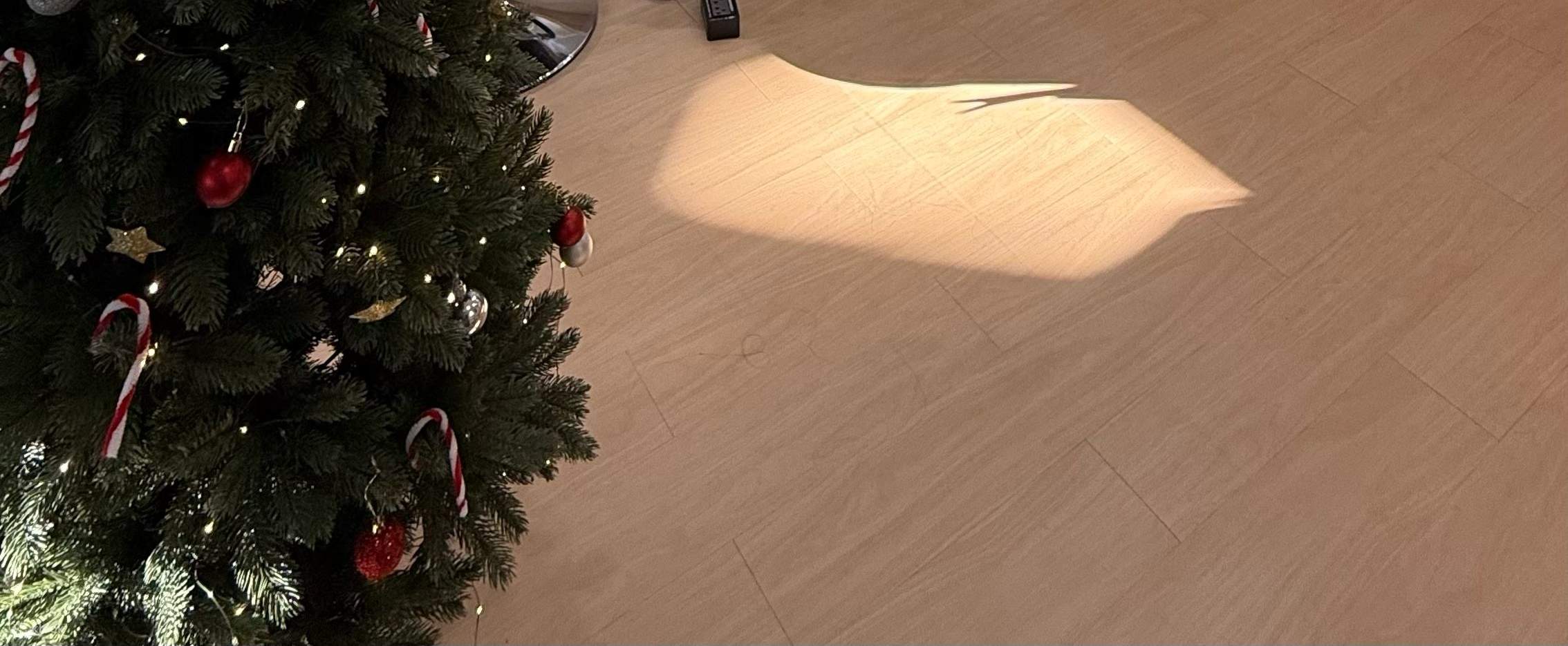 Wir freuen uns darauf, Sie im Chada Sleep Salon zu sehen❤️