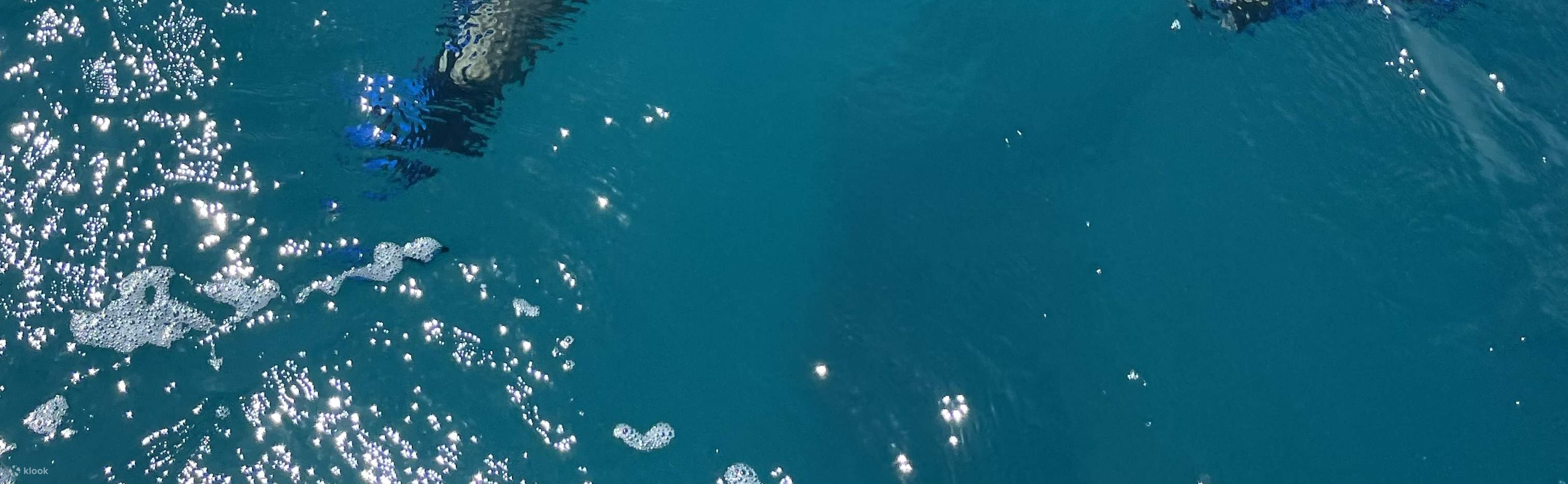 ทริปดำน้ำตื้นครึ่งวัน