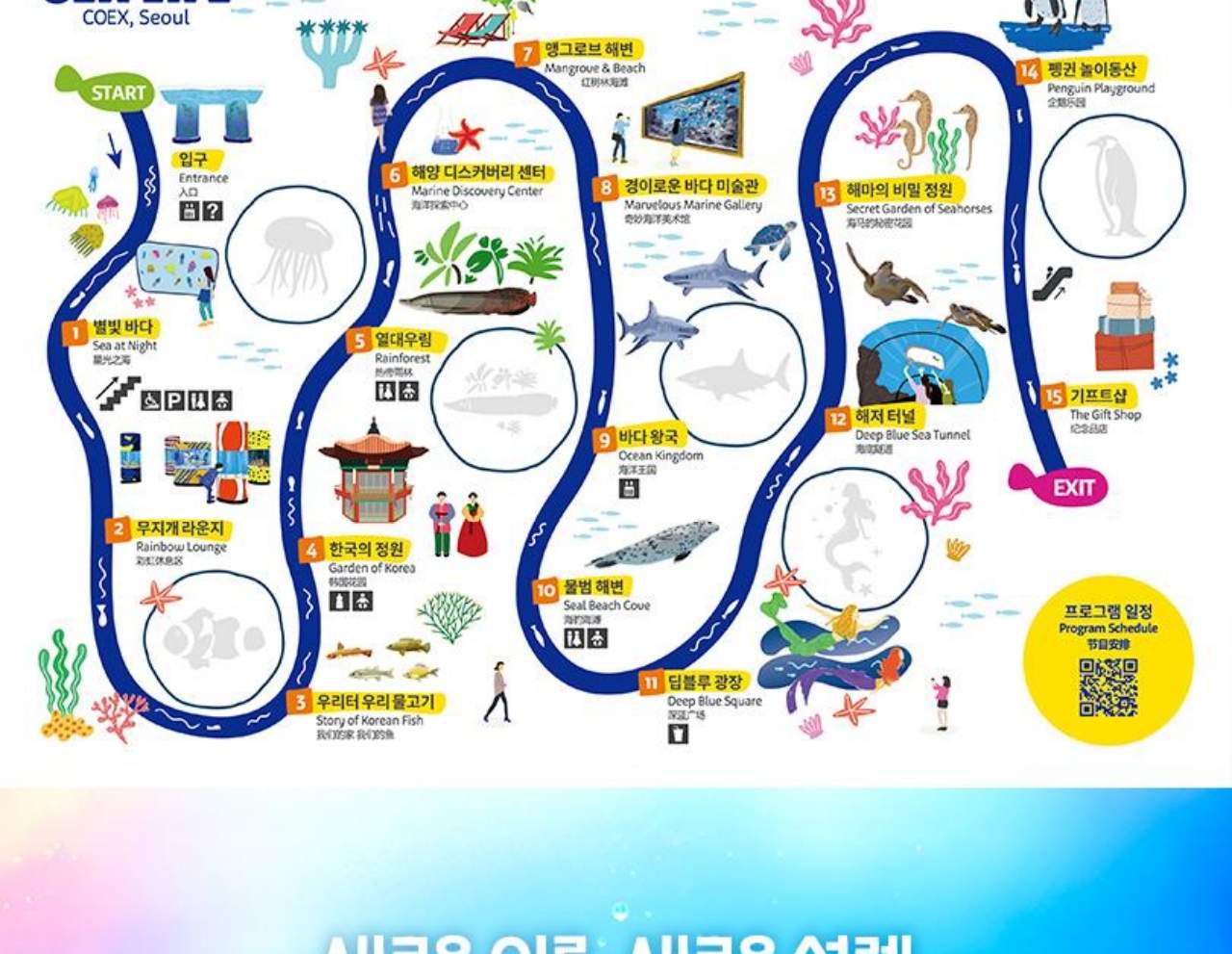 서울 씨라이프 코엑스 아쿠아리움 입장권