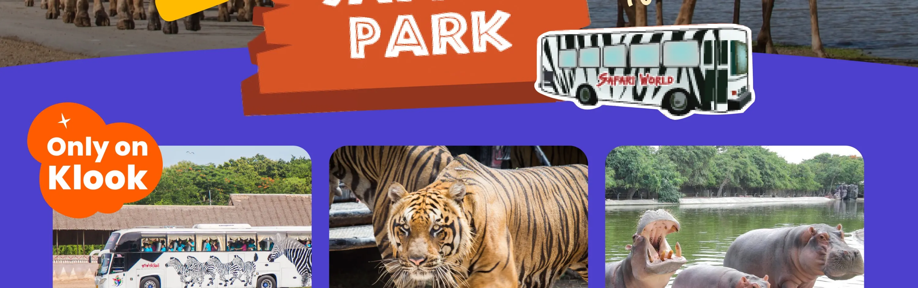 野生動物園必看