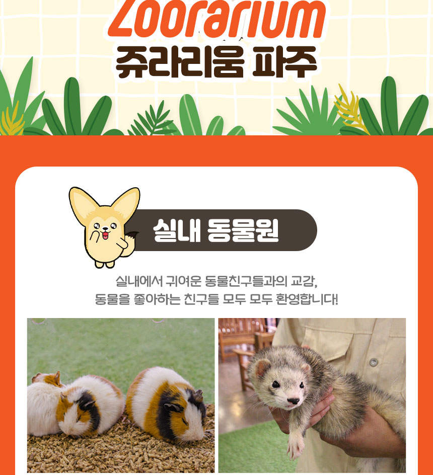 파주 쥬라리움 - 클룩 Klook 한국