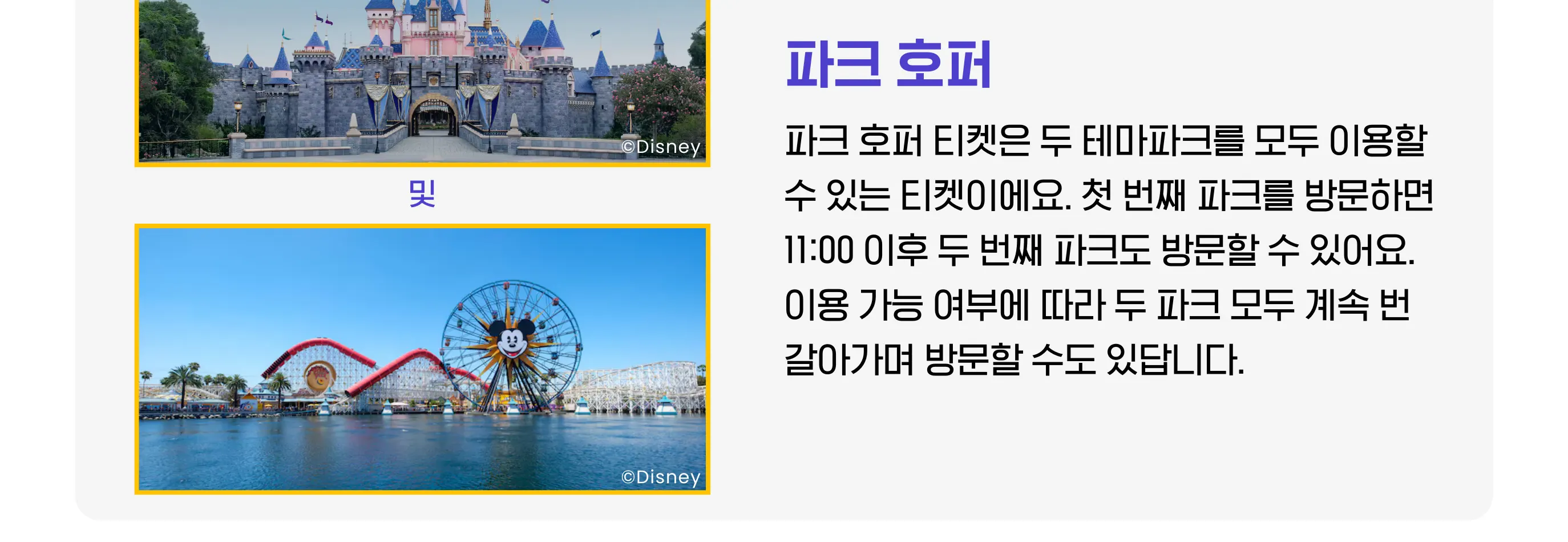 LA 캘리포니아 디즈니랜드 리조트 티켓