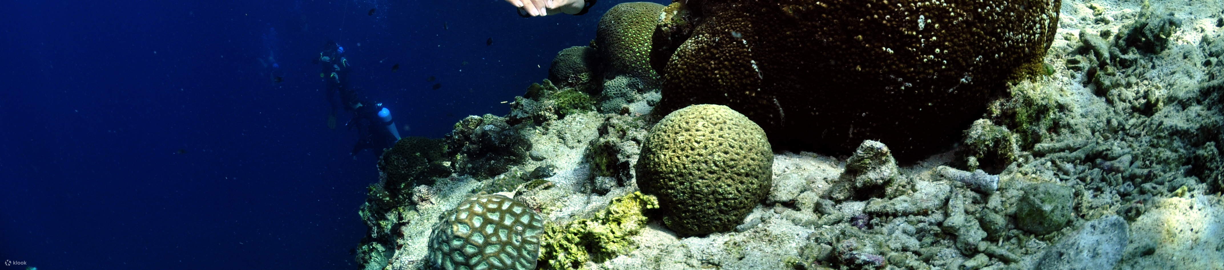 PADIオープンウォーターダイバー