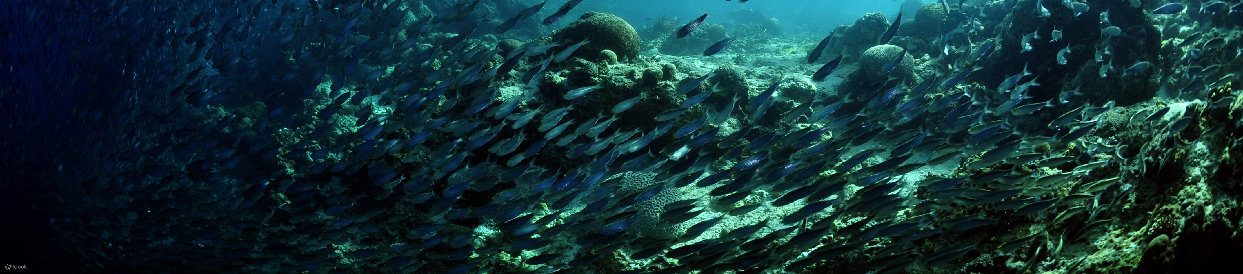 Plongeur PADI à l'air enrichi