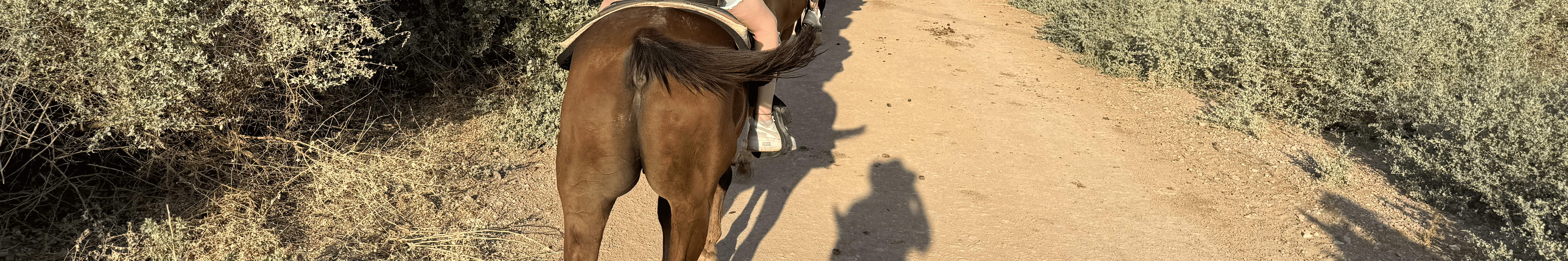 สำรวจทัศนียภาพทะเลทรายอันสวยงามบนหลังม้าในช่วงเวลาพระอาทิตย์ตกดินสุดตระการตา พร้อมรับประทานอาหารค่ำสไตล์ Wild West ในลาสเวกัส