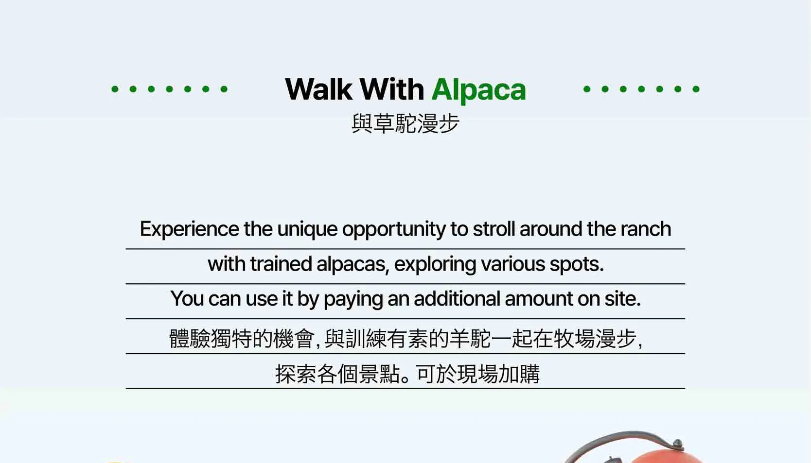 绵羊牧场 Tikcet（羊驼、绵羊、兔子） 京畿道加平