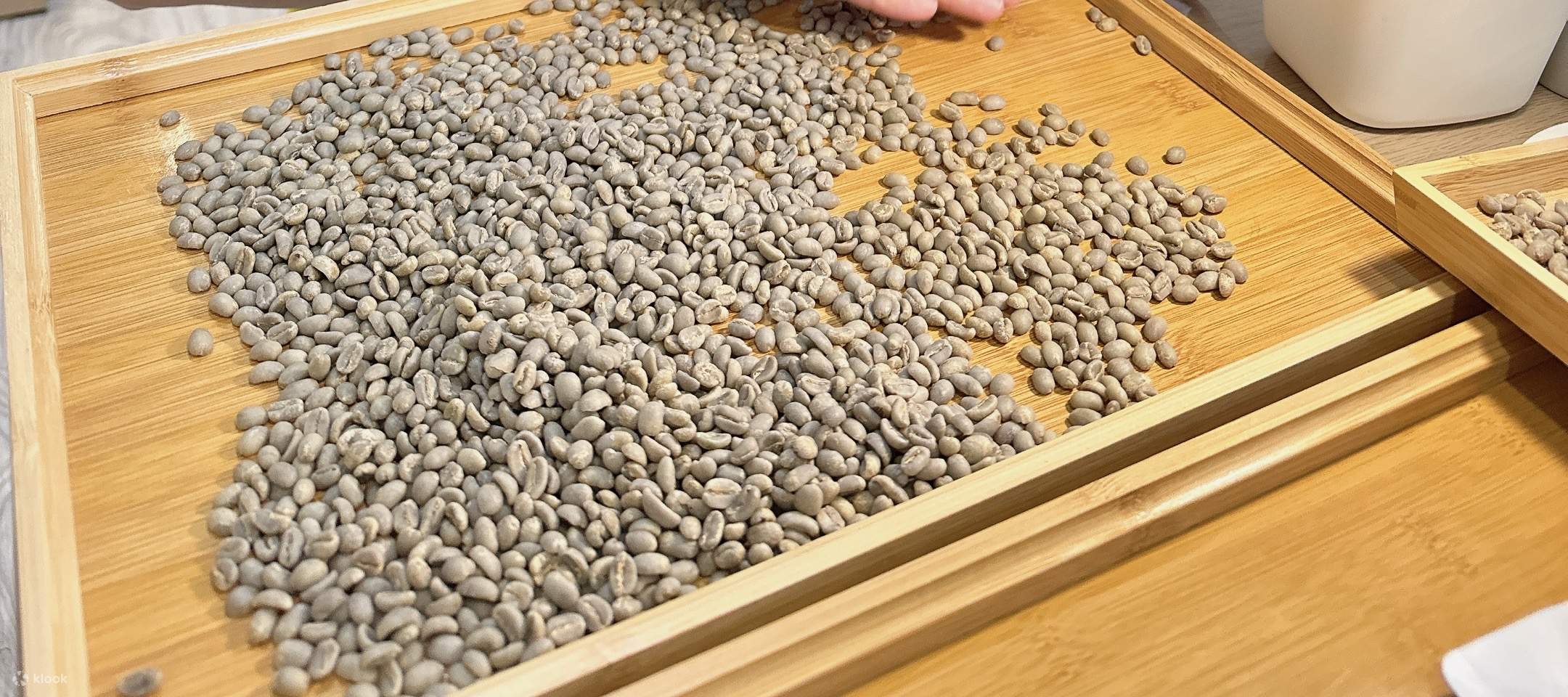 Taipei: Coffee roasting tutorial