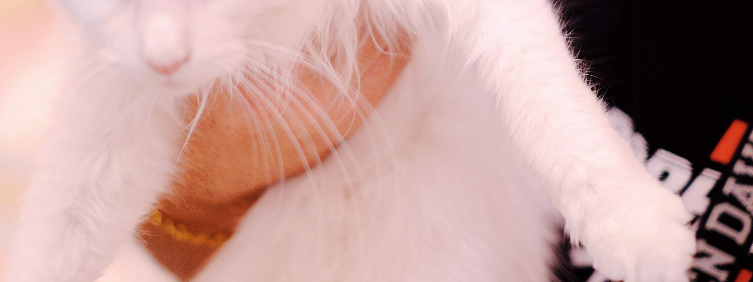 Ogni angolo è perfetto per Instagram: mettiti in posa!