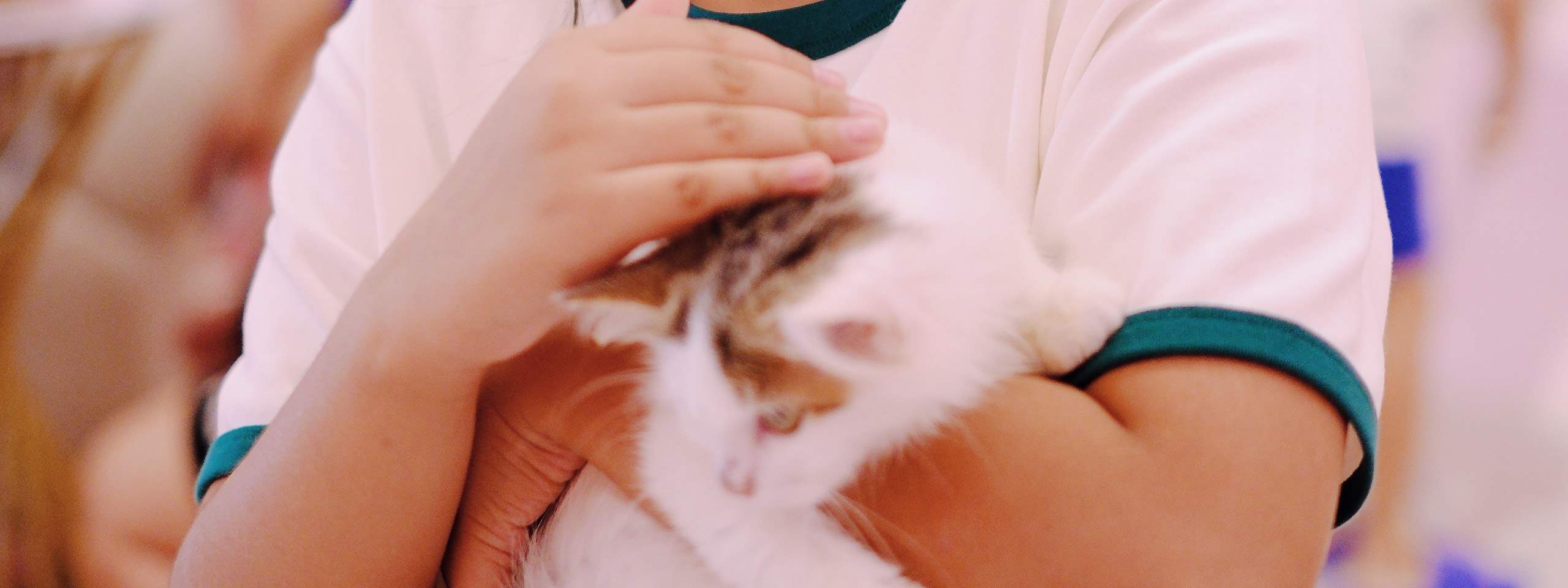 Chia sẻ nụ cười và những cái ôm âu yếm với những người bạn lông xù của chúng ta!